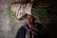 T'Zutuhil Indian, Chichicastenango